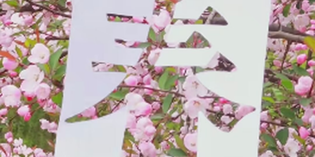 Ʈ(hu)У@Ĵ