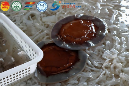 ̽غؼӹSһֱckCy}ƽ